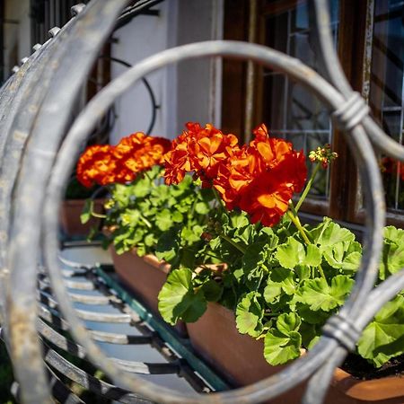 Ferienwohnung Zypresse Μεράνο Εξωτερικό φωτογραφία